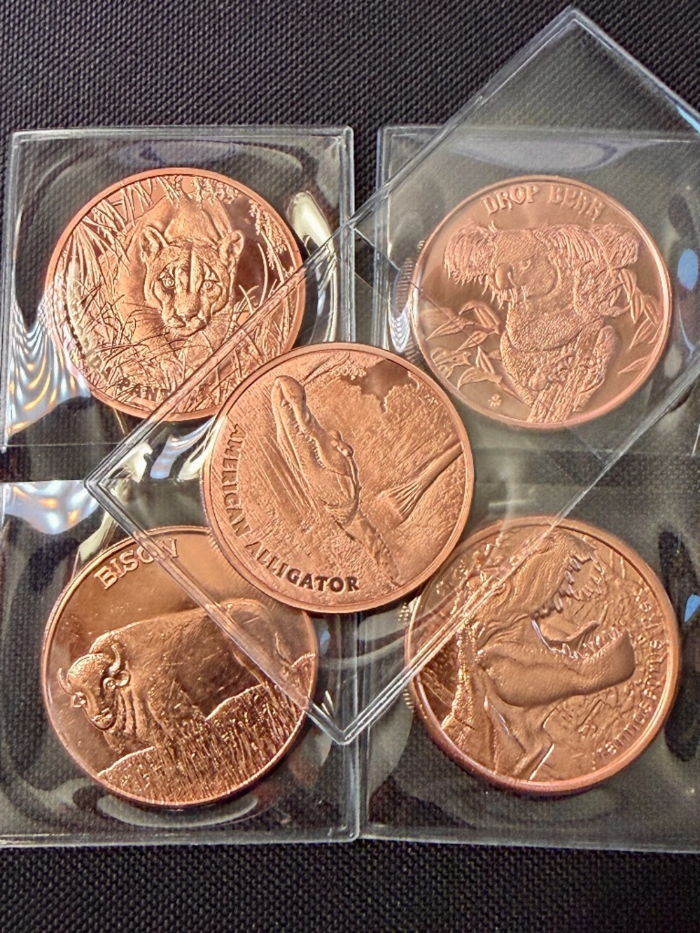 5x 1 oz .999 Copper Rounds Animal Set T-Rex Panther Bison Alligator Koala 🔥